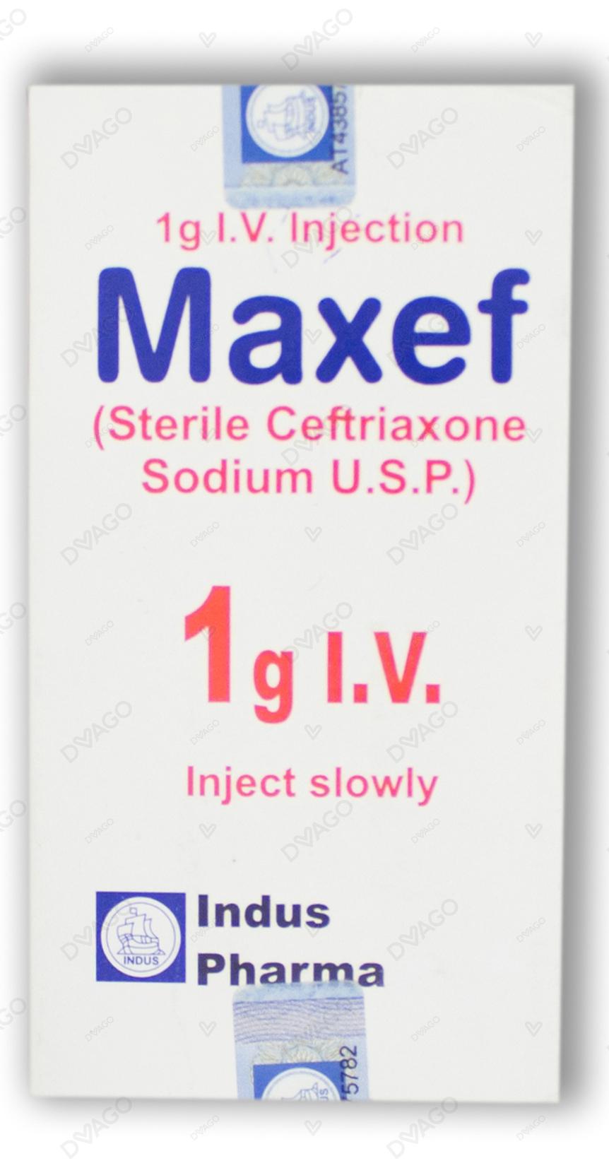 Maxef Iv Injection 1g (1 Box = 1 Injection)