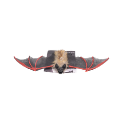WG-2229 H-W BATMAN 42CM H.B Default Title - MamasJan Toys