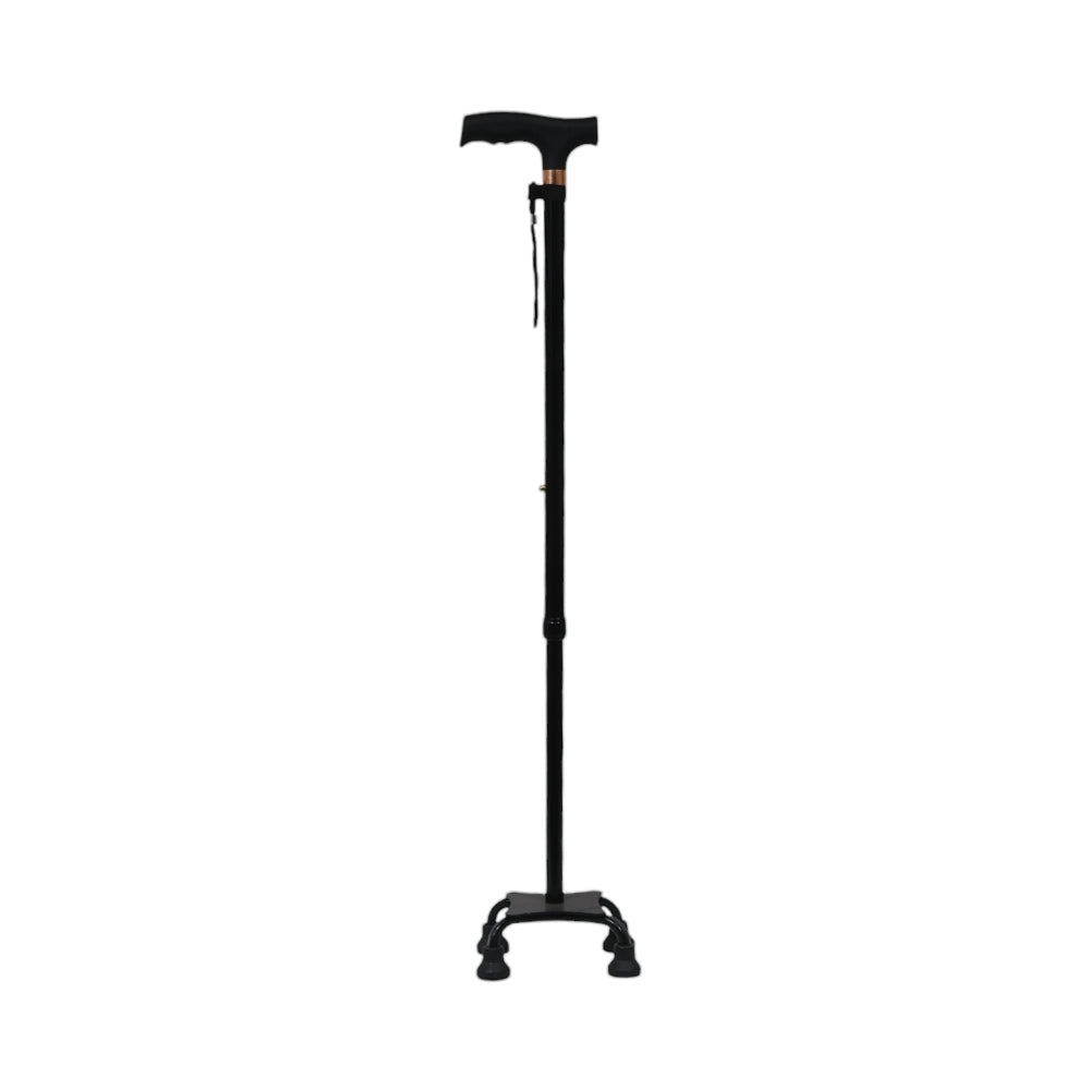 WALKING STICK IR 15506-10 Default Title - MamasJan Crockery
