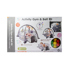 668-42 ACTIVITY PLAYGYM & BALL PIT SET IR Default Title - MamasJan Toys
