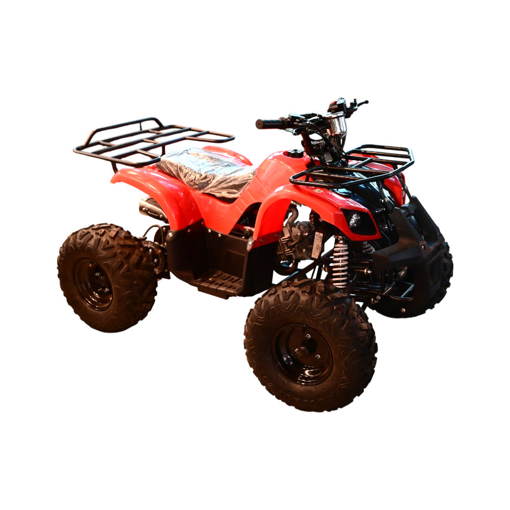 PETROL GEARED MOTORCYCLE 125CC IR WDL-2 Default Title - MamasJan Toys