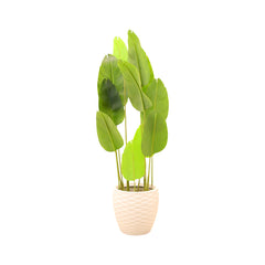 PLANT WITH POT 2233 I.M Default Title - MamasJan Decoration