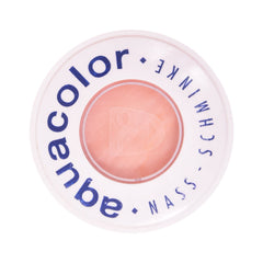 KRYOLAN WET CAKE-4W PC Default Title - MamasJan Makeup