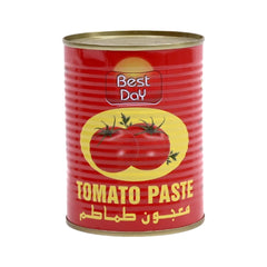 BEST DAY TOMATO PASTE TIN CHINA 400 GM Default Title - MamasJan GroceryFoods