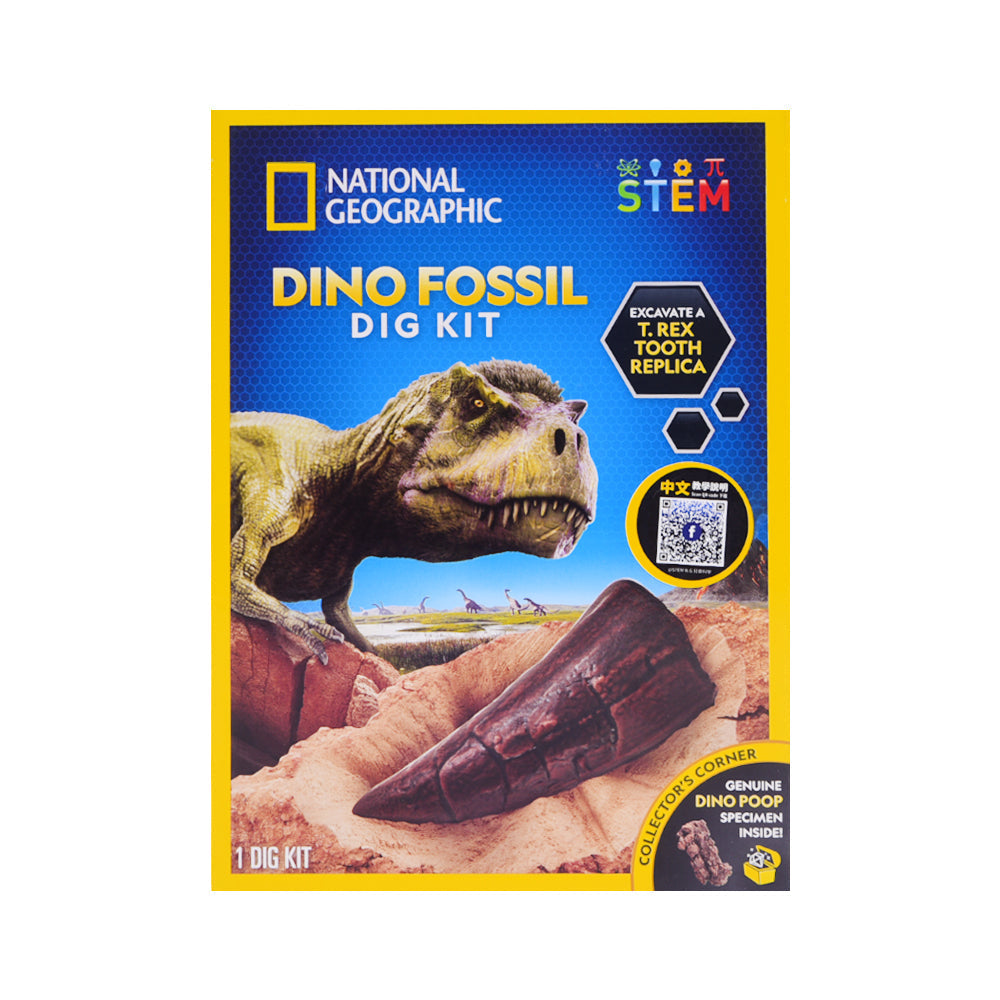NGDINO2 NG DINO DIG KIT Default Title - MamasJan Toys