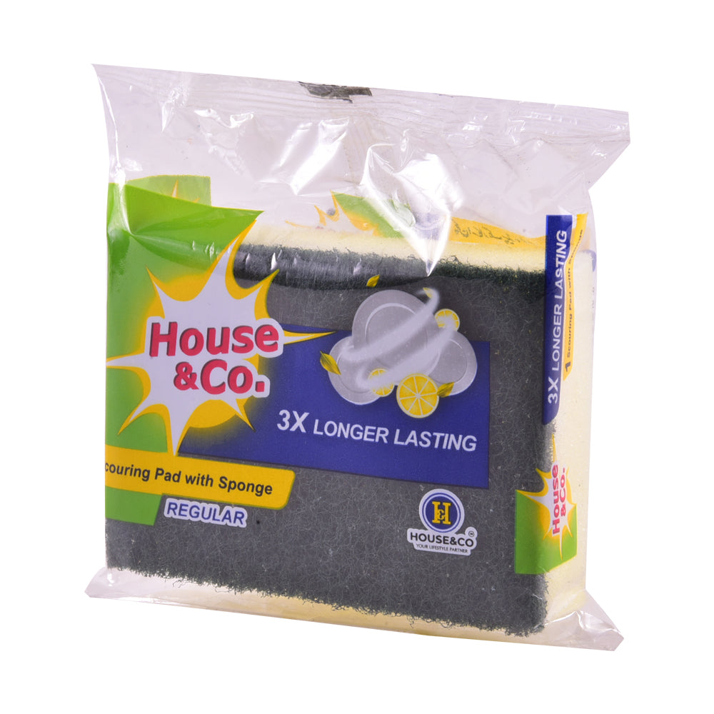 HOUSE&CO. SCOURING PAD WITH SPONGE REGULAR 1PCS Default Title - MamasJan Grocery Nonfood