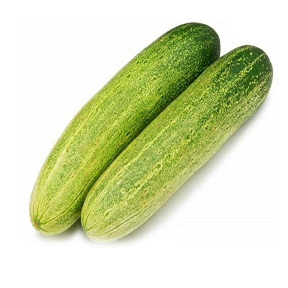 DESI CUCUMBER(Kheera)(1 KG TO 250 GM) 250 GM - MamasJan Friuits & Vegetables