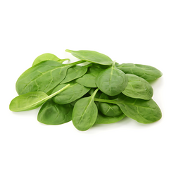 BABY SPINACH(Palak) (Bunch) Default Title - MamasJan Fruits & Vegitables