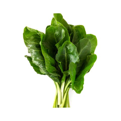 ZEEZ GARDEN SWISS CHARD. Default Title - MamasJan Always Fresh