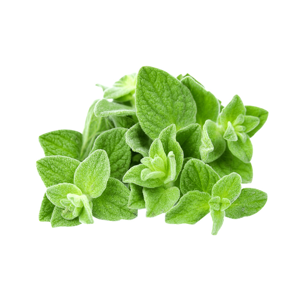 ZEEZ GARDEN OREGANO. Default Title - MamasJan Always Fresh