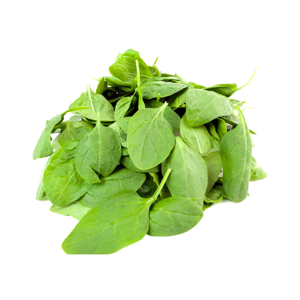 ZEEZ GARDEN BABY SPINACH. Default Title - MamasJan Always Fresh
