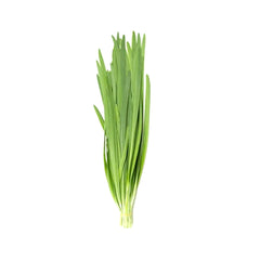 ZEEZ GARDEN CHIVES. Default Title - MamasJan Always Fresh