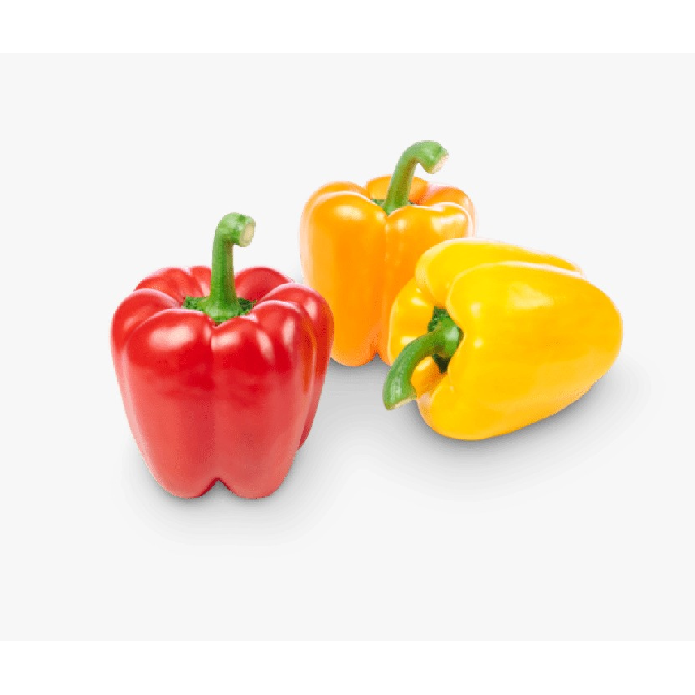 BELL PEPPER(Shimla mirch)(1 KG TO 250 GM) 250 GM - MamasJan Fruits & Vegitables
