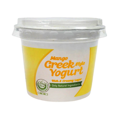 ANHAAR GREEK MANGO YOGURT 250GM Default Title - MamasJan Grocery