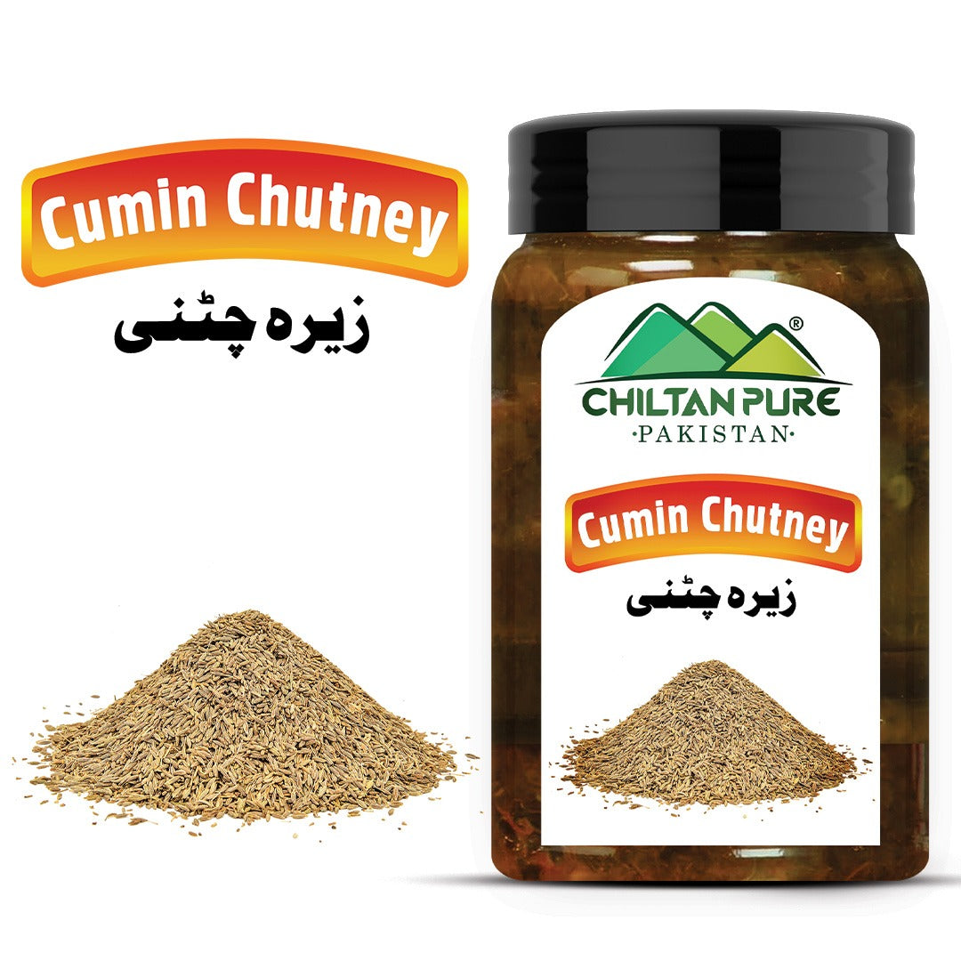 Cumin Chutney (زیرہ چٹنی)  – Flavorful, Spicy & Aromatic Condiment Made with Fresh Jeera