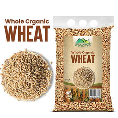 Whole Organic Wheat / گندم / Gross Weight 1kg