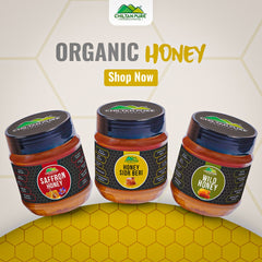 Wild Honey - Pure Honey, Real Sweetness in Every Drop (New Crystal - Clear Glass Packaging)