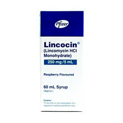 LINCOCIN Suspension 250 MG 60 ML