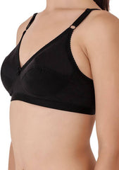 Belleza Lingerie Cotton Lift Bra - 001 Maroon / 42C - MamasJan Lingerie