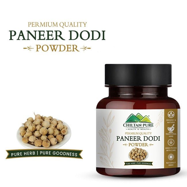 Paneer Dodi Powder - Mamasjan