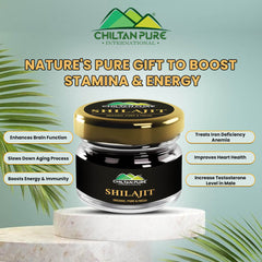 Shilajit – Nature’s Gift, Counter Weakness & Increase Body Strength