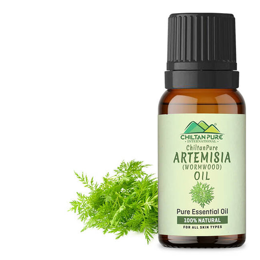 Artemisia Essential oil – Wormwood Essential Oil – Acts as an Emmenagogue, Relieves Nervous Afflictions & Prevents Microbial Infections - Mamasjan