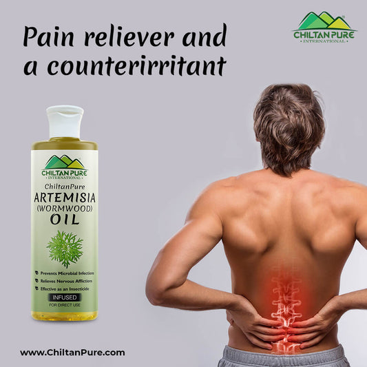 Artemisia Infused oil – Wormwood Infused oil – Promotes Digestion, Relieves Nervous Afflictions, Acts as Emmenagogue & Cholagogue - Mamasjan