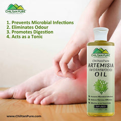Artemisia Infused oil – Wormwood Infused oil – Promotes Digestion, Relieves Nervous Afflictions, Acts as Emmenagogue & Cholagogue - Mamasjan