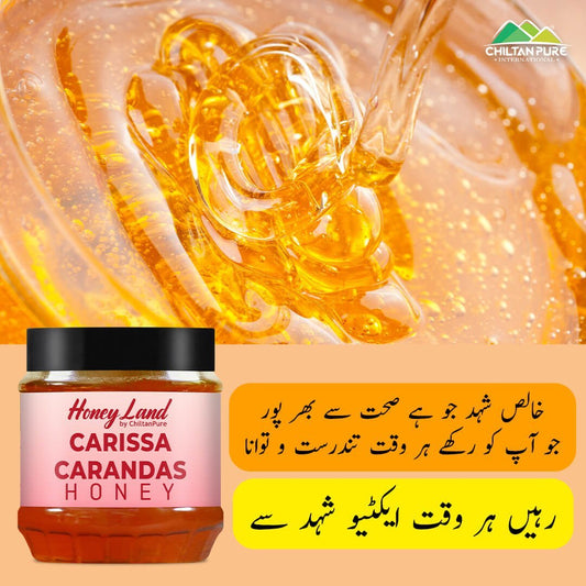Carissa Carandas Honey – Stress less & choose the best, improves digestion, reduces fever, strengthens cardiac muscles – Health package 100% organic - Mamasjan