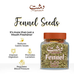 Fennel - Mamasjan