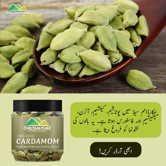 Organic Cardamom Seeds – Helps with digestive problem, lower blood sugar levels, treats bad breath – 100% pure organic - Mamasjan