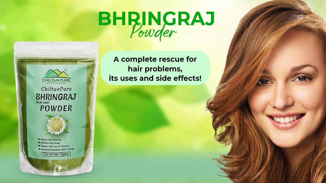 Bhringraj powder, A complete rescue for hair problems, its uses and side effects - Mamasjan