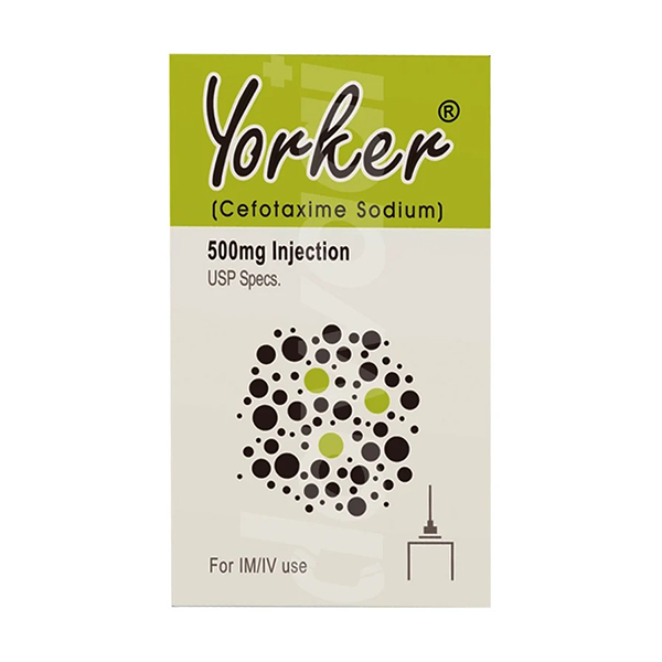 YORKER Injection 500 MG 1 VIAL
