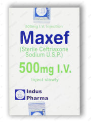 Maxef Iv Injection 500mg (1 Box = 1 Injection)