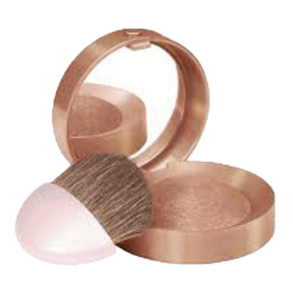 BOURJOIS BLUSHER CHATAIGNE DOREE PCS Default Title - MamasJan Makeup