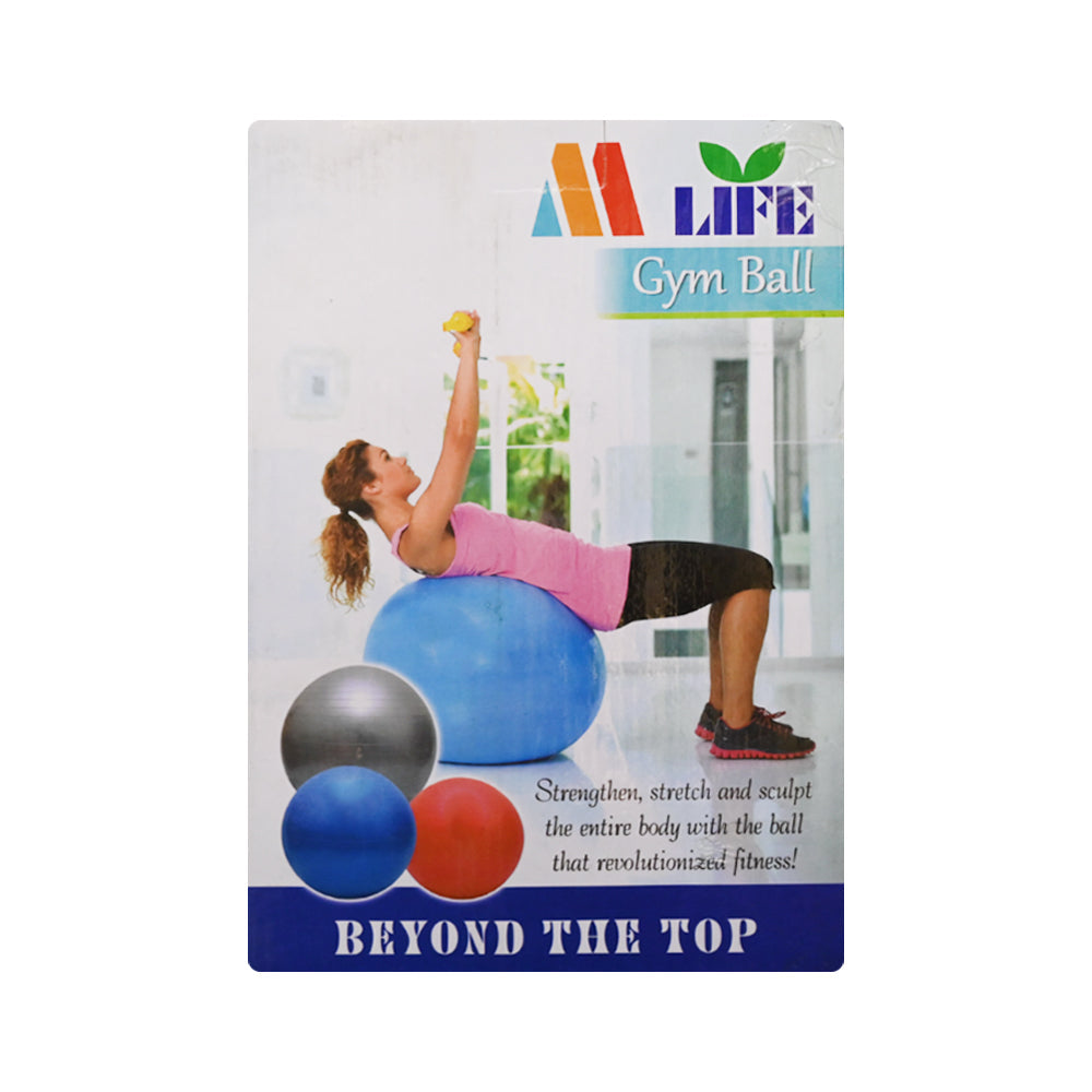 GYM BALL 100CM EXERCISE PC Default Title - MamasJan Sports & fitness