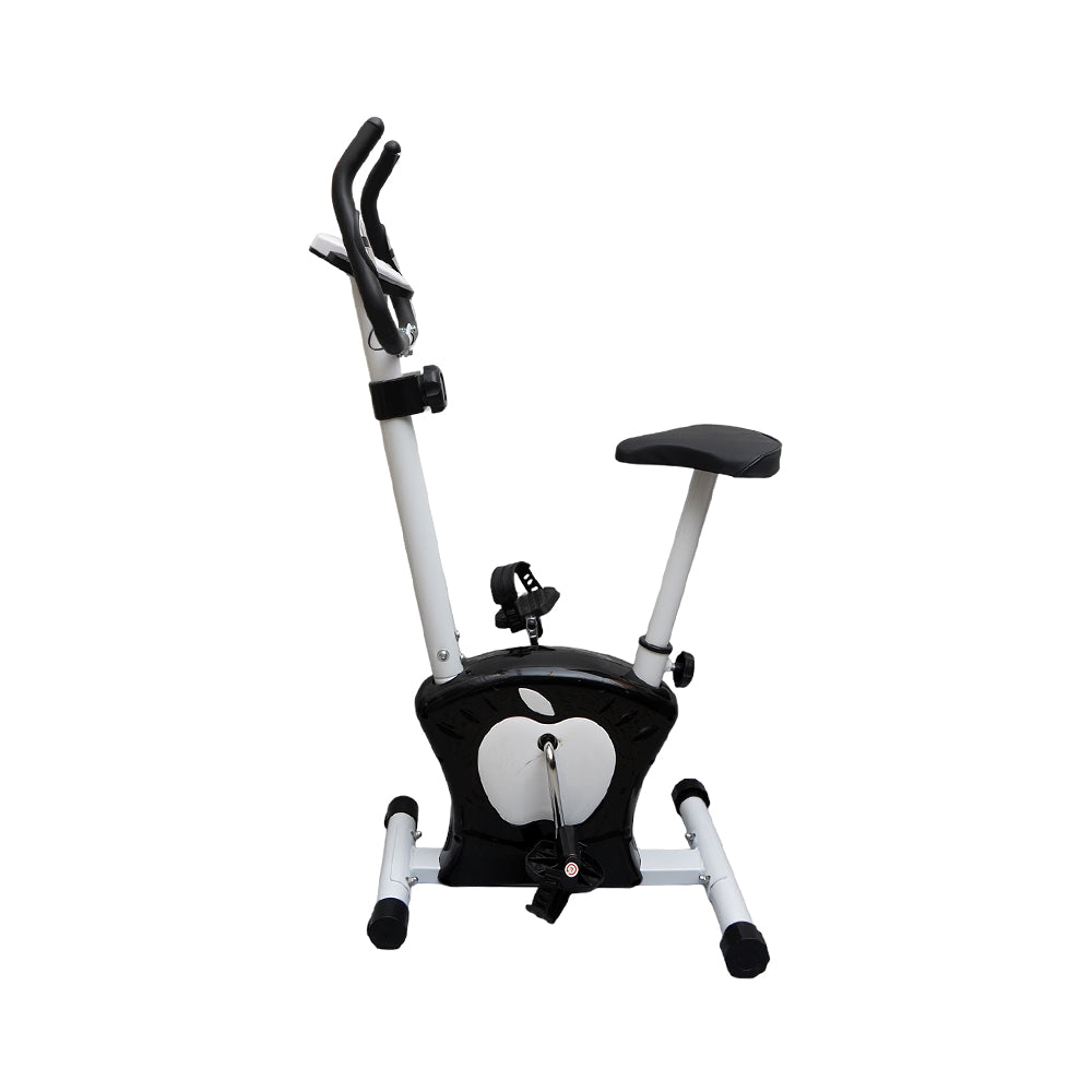 Exercise Magnetic Cycle 221 Pc Default Title - MamasJan s