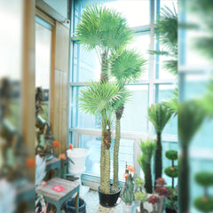 TREE PALM IR CH10808124 BASIC Default Title - MamasJan Decoration