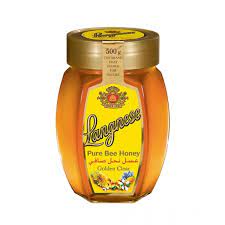Langnese Pure Bee Honey 500g
