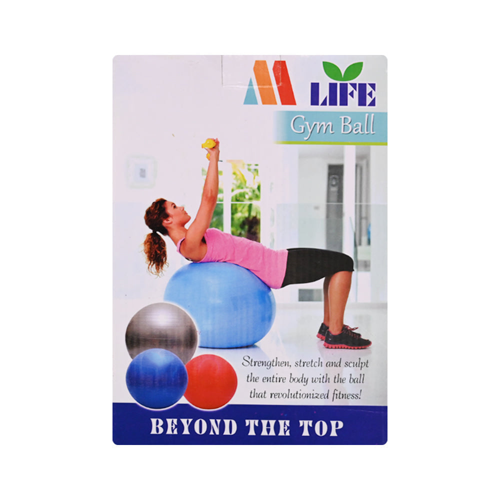 GYM BALL 75CM EXERCISE Default Title - MamasJan Sports & fitness
