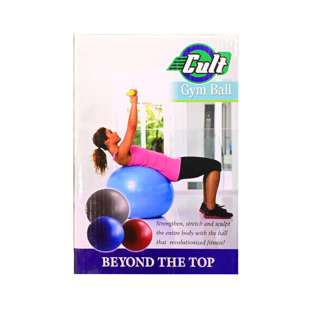 GYM BALL 85CM EXERCISE Default Title - MamasJan Sports & fitness