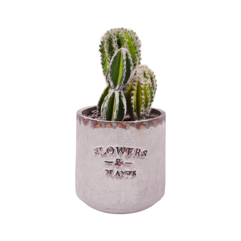 ARTIFICIAL FLOWER IR TMZ83350 Default Title - MamasJan Decoration