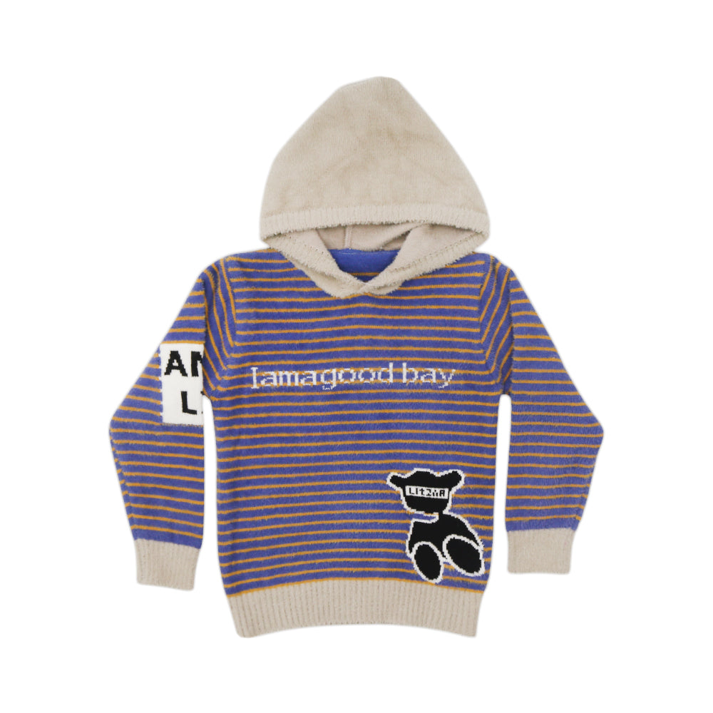 BOYS L/S SWEATER WITH HOOD 2117 MW-21 4-5 YEAR Default Title - MamasJan KidsWear