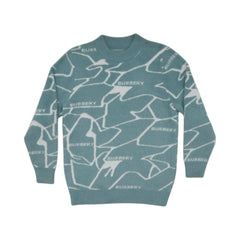 BOYS L/S ROUND NECK SWEATER MW-22 8-9 YEAR CHI TN-WH048 Default Title - MamasJan KidsWear