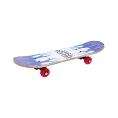 GT-2406 SKATING BOAT MEDIUM IR Default Title - MamasJan Toys