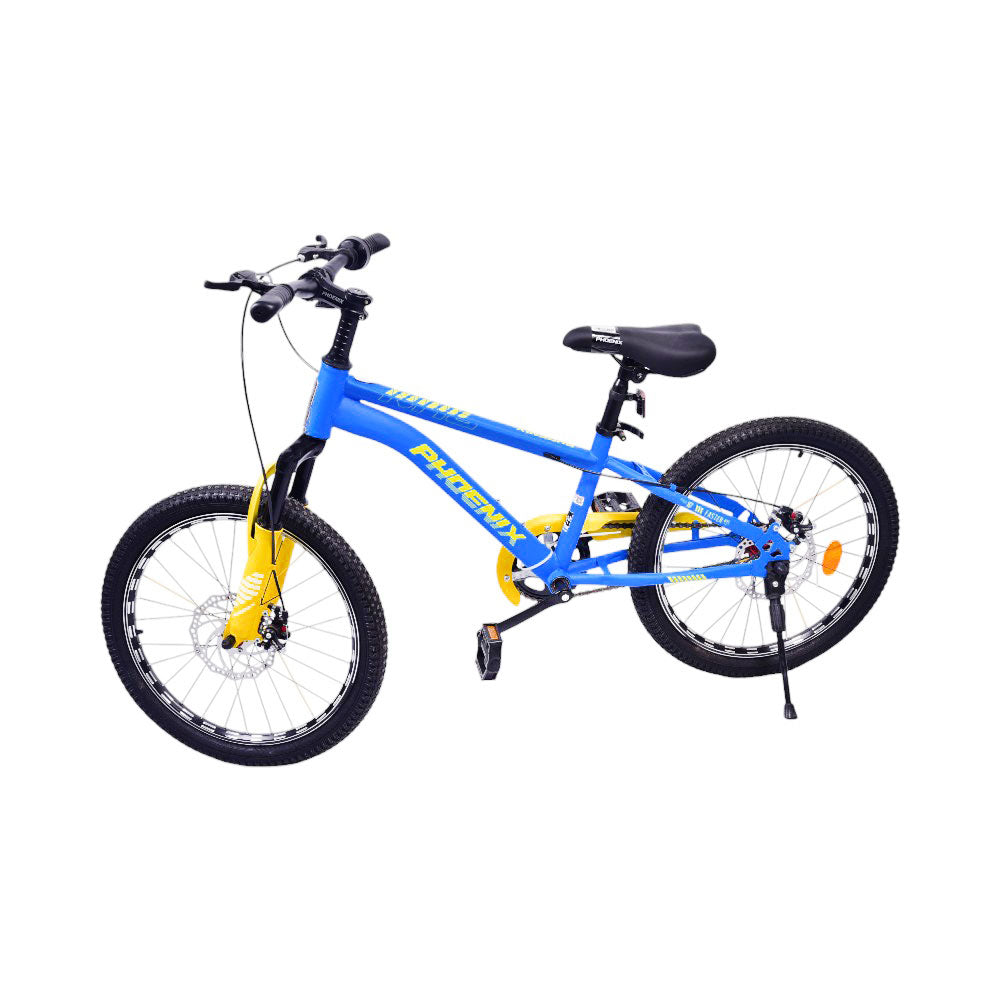 KIDS BICYCLE 20INCH IR TS20 Default Title - MamasJan Toys