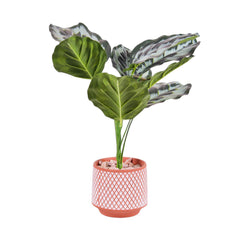 ARTIFICIAL FLOWER POT IR ADF1-52 Default Title - MamasJan Decoration