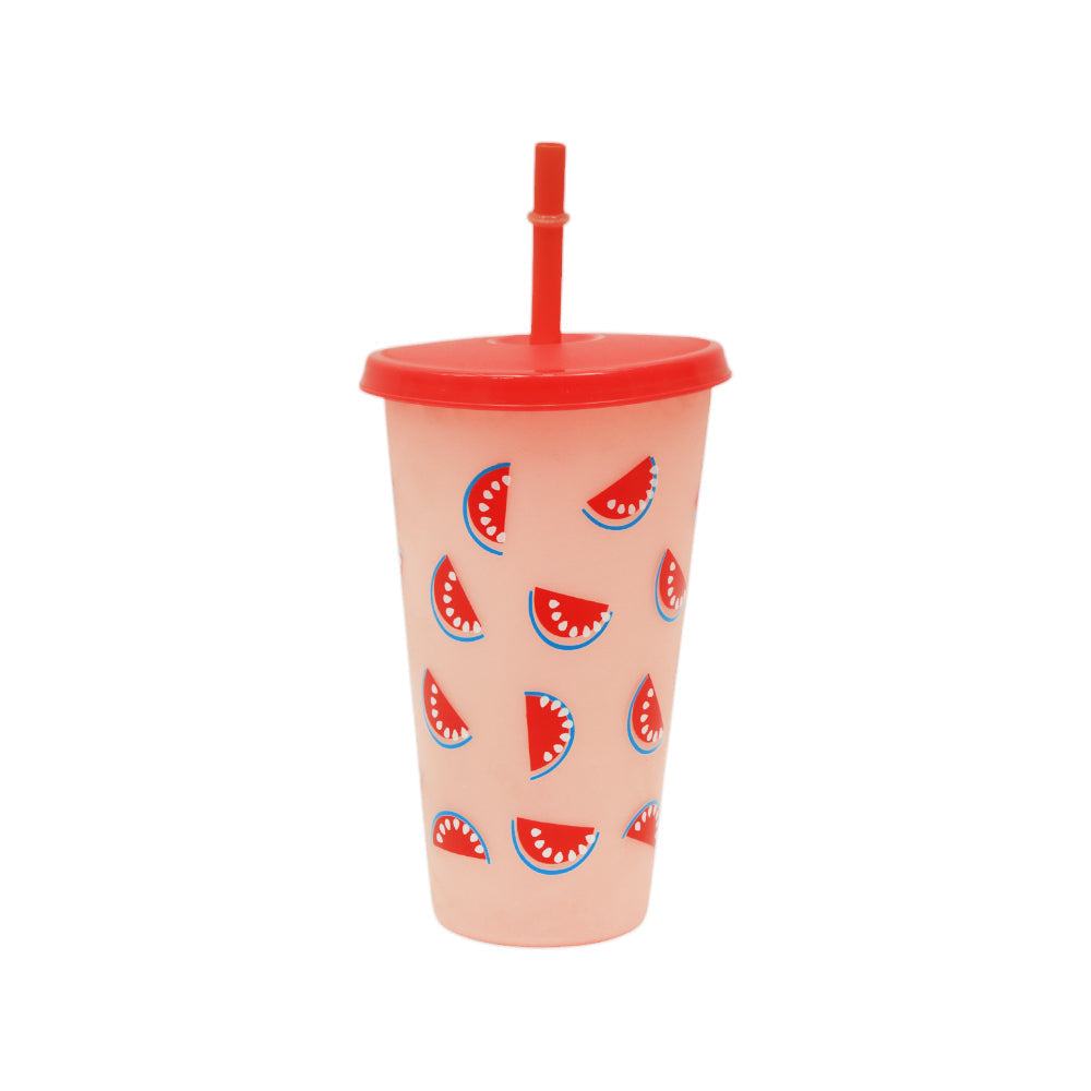 MUG WITH STRAW ACRYLIC 650ML IR JL50006-3 Default Title - MamasJan Crockery