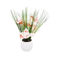 PLANT WITH POT 0761-1 Default Title - MamasJan Décor