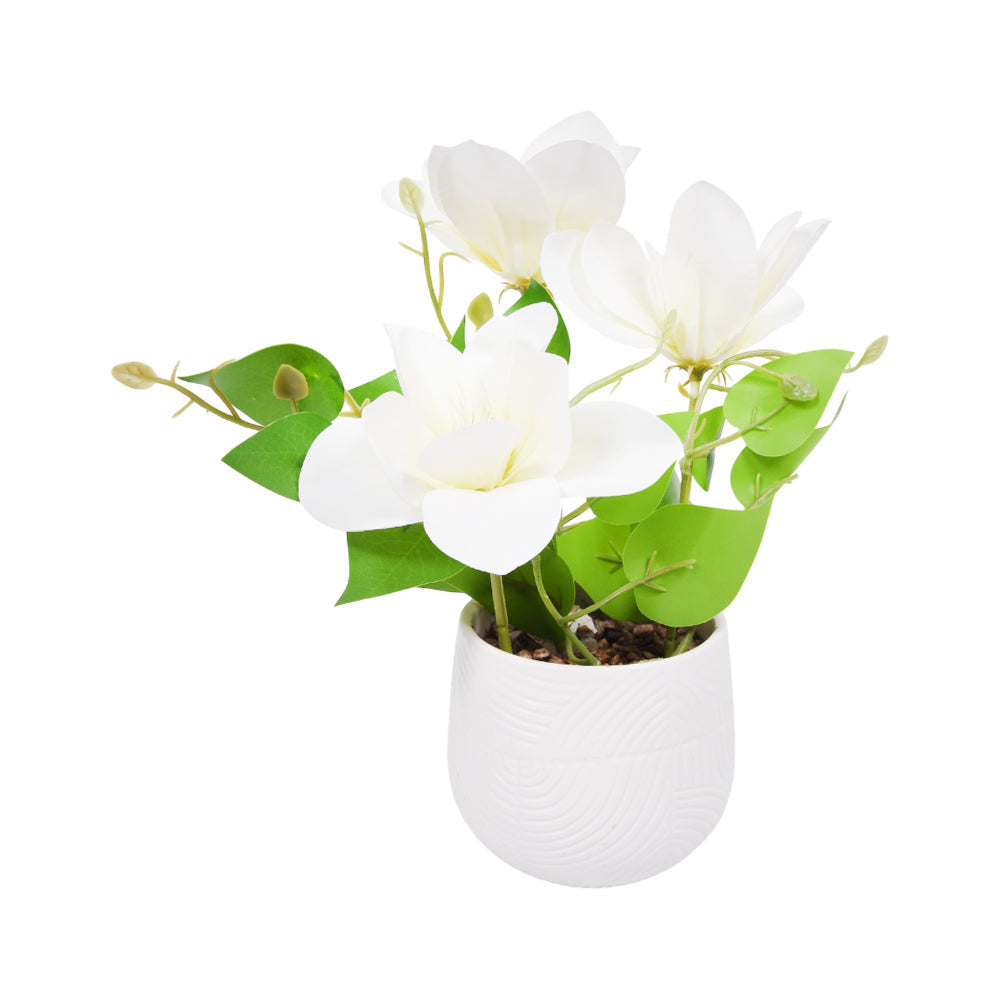 PLANT WITH POT 2721-9 Default Title - MamasJan Décor